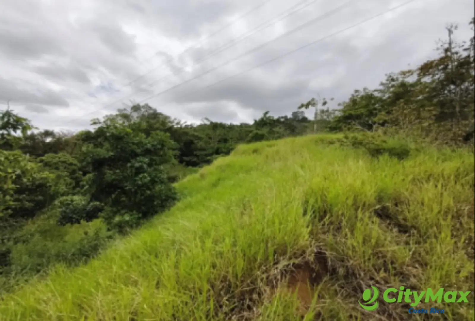 Finca en venta de 2,87 Hectareas en Tucurrique, Cartago - foto 9