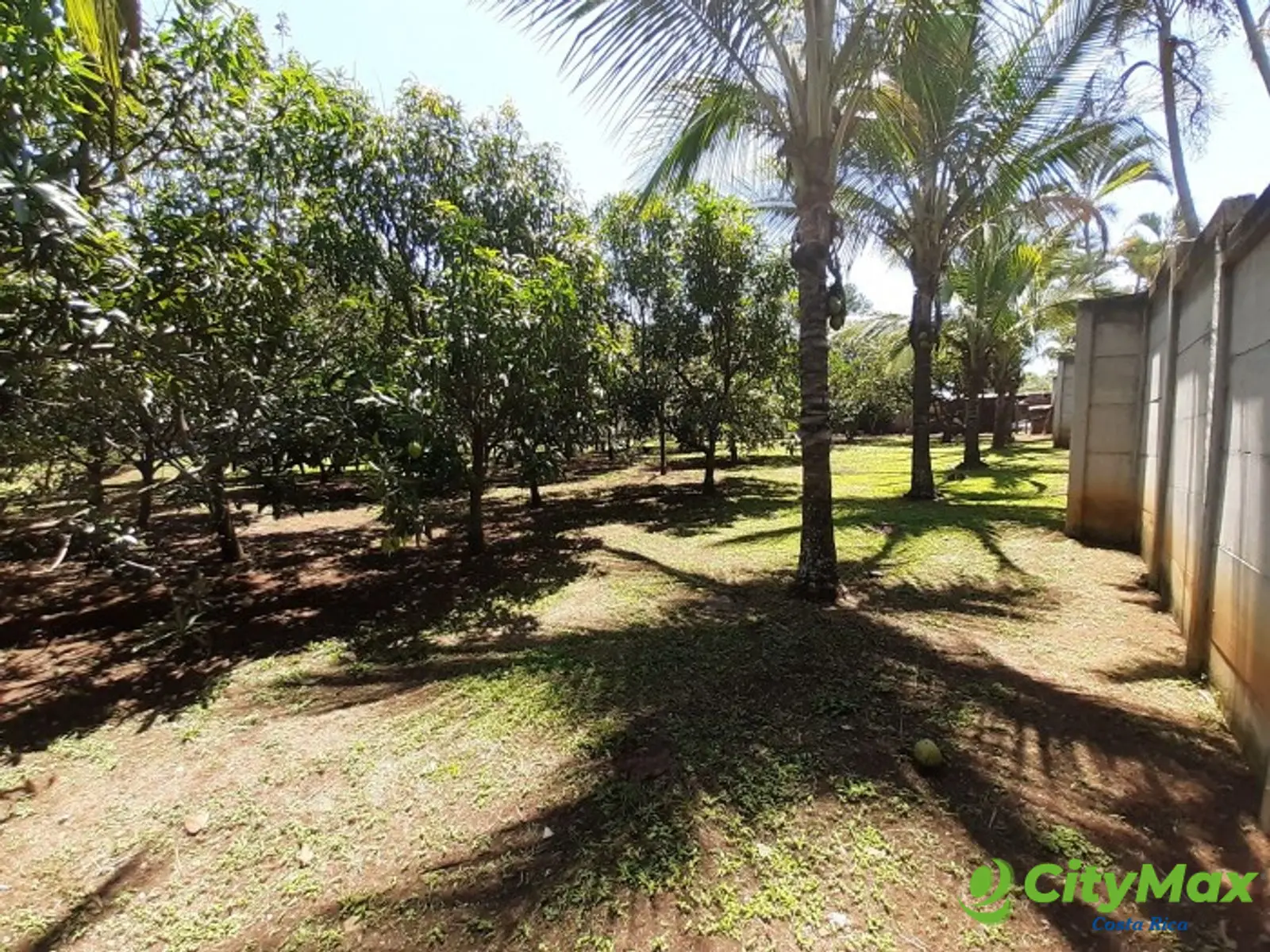 Exclusiva Quinta de Lujo Venta en La Garita, Alajuela. - foto 17