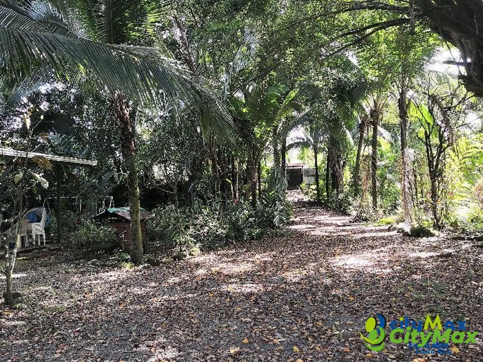 Finca Exclusiva en Venta Toro Amarillo de Guápiles - foto 5