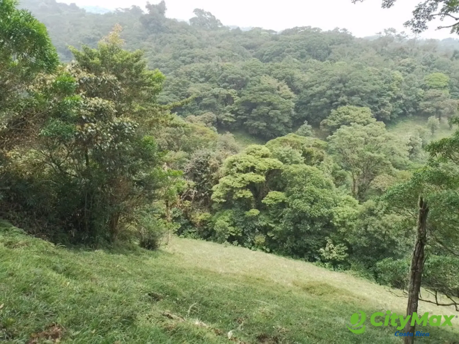 Se vende finca en Varablanca, Heredia - foto 12