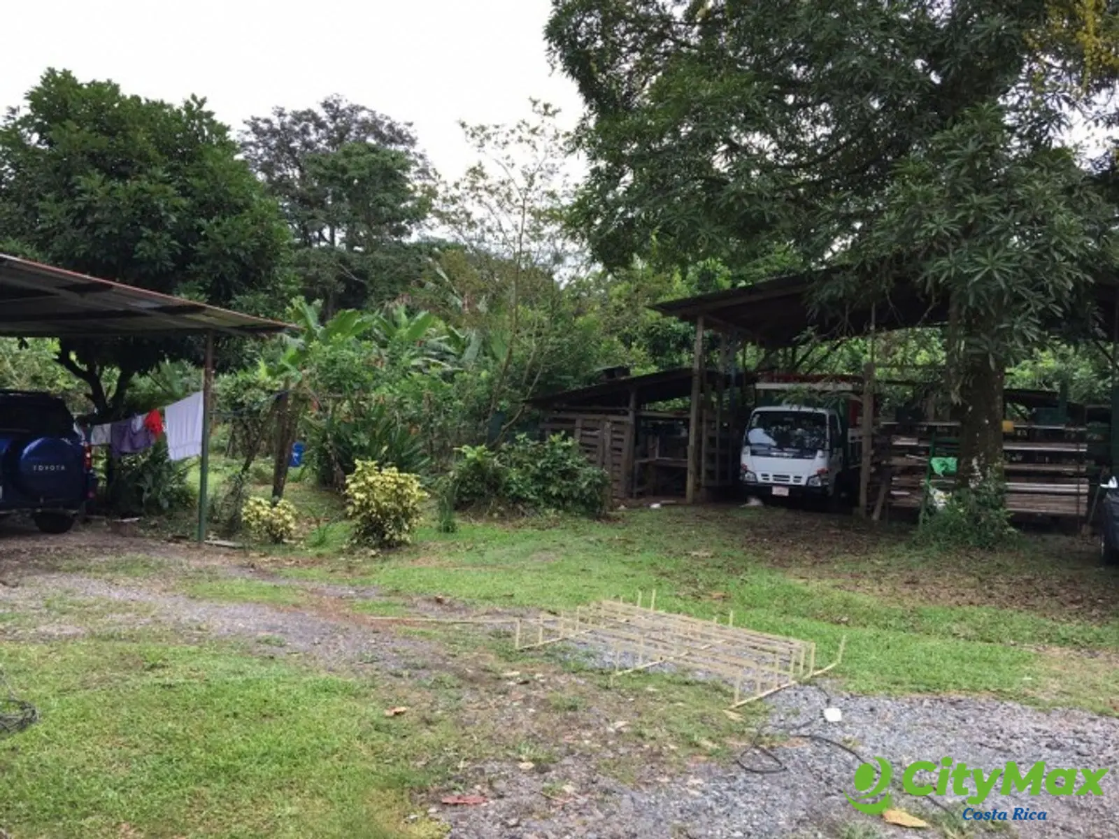Gran Propiedad en Pocora Limón Ideal para Inversión - foto 5