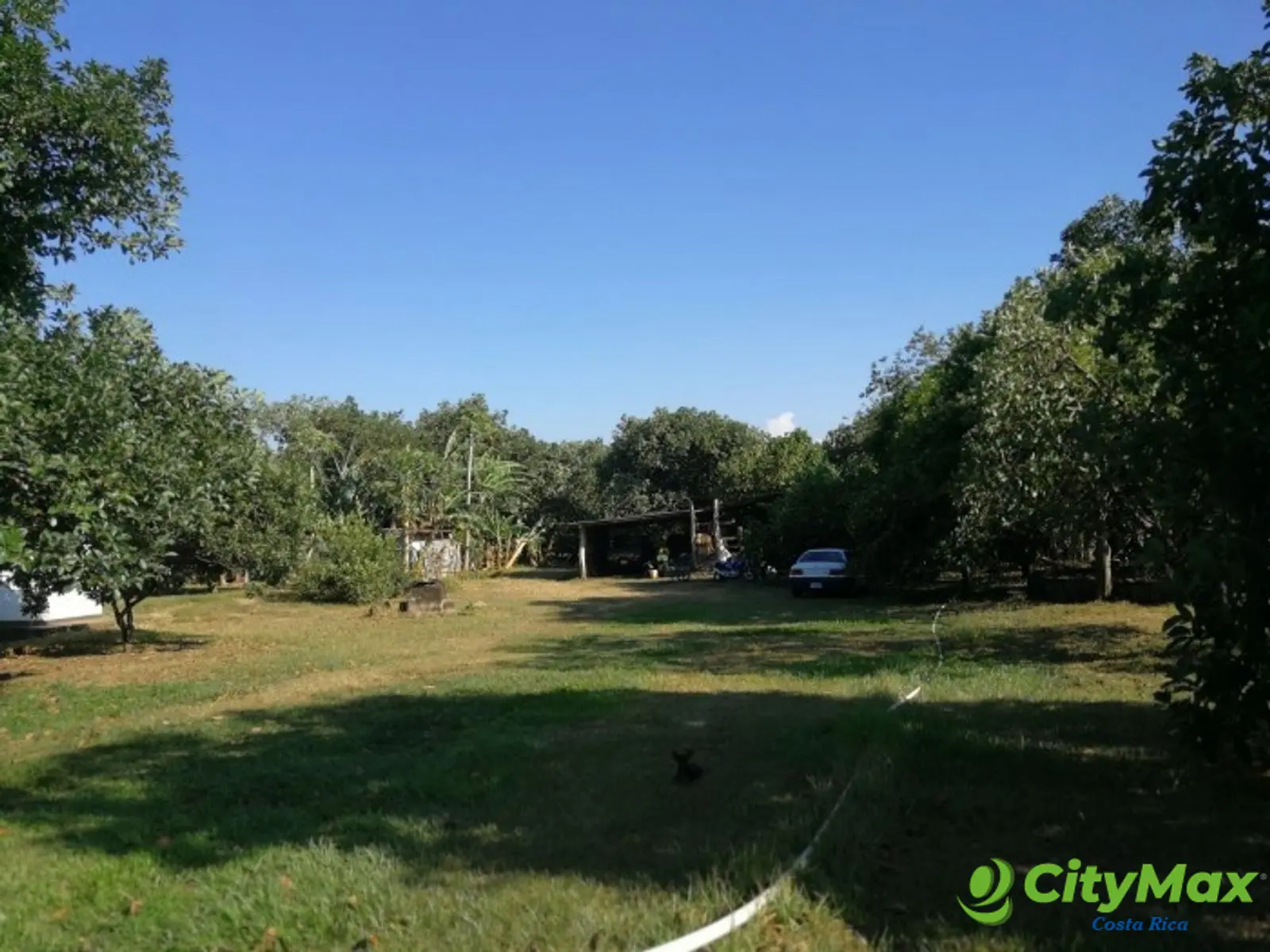 Finca en venta San Jerónimo de Esparza Puntarenas 15ha - foto 10