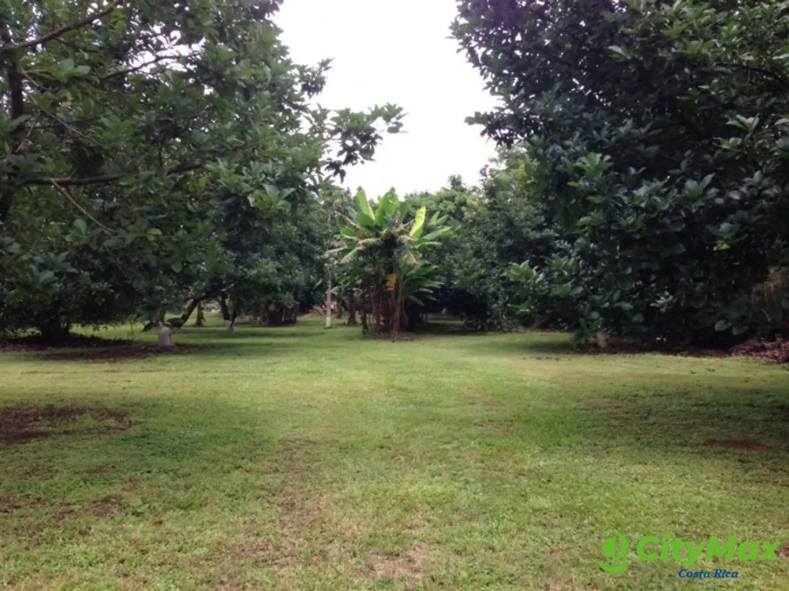 Finca en venta San Jerónimo de Esparza Puntarenas 15ha - foto 13