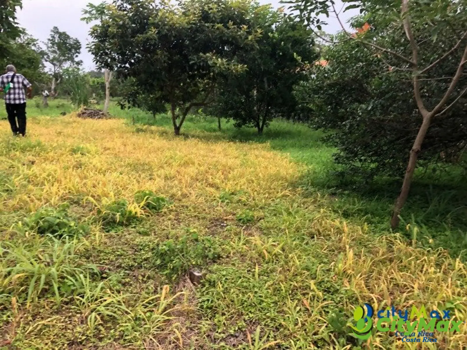 Se vende ampio, plano y hermoso terreno en Atenas  - foto 6