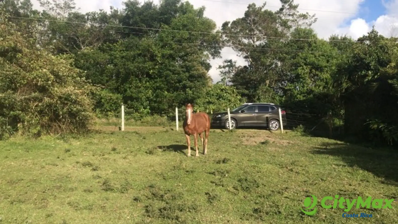 Lote Residencial en Venta en San Isidro de Heredia - foto 4