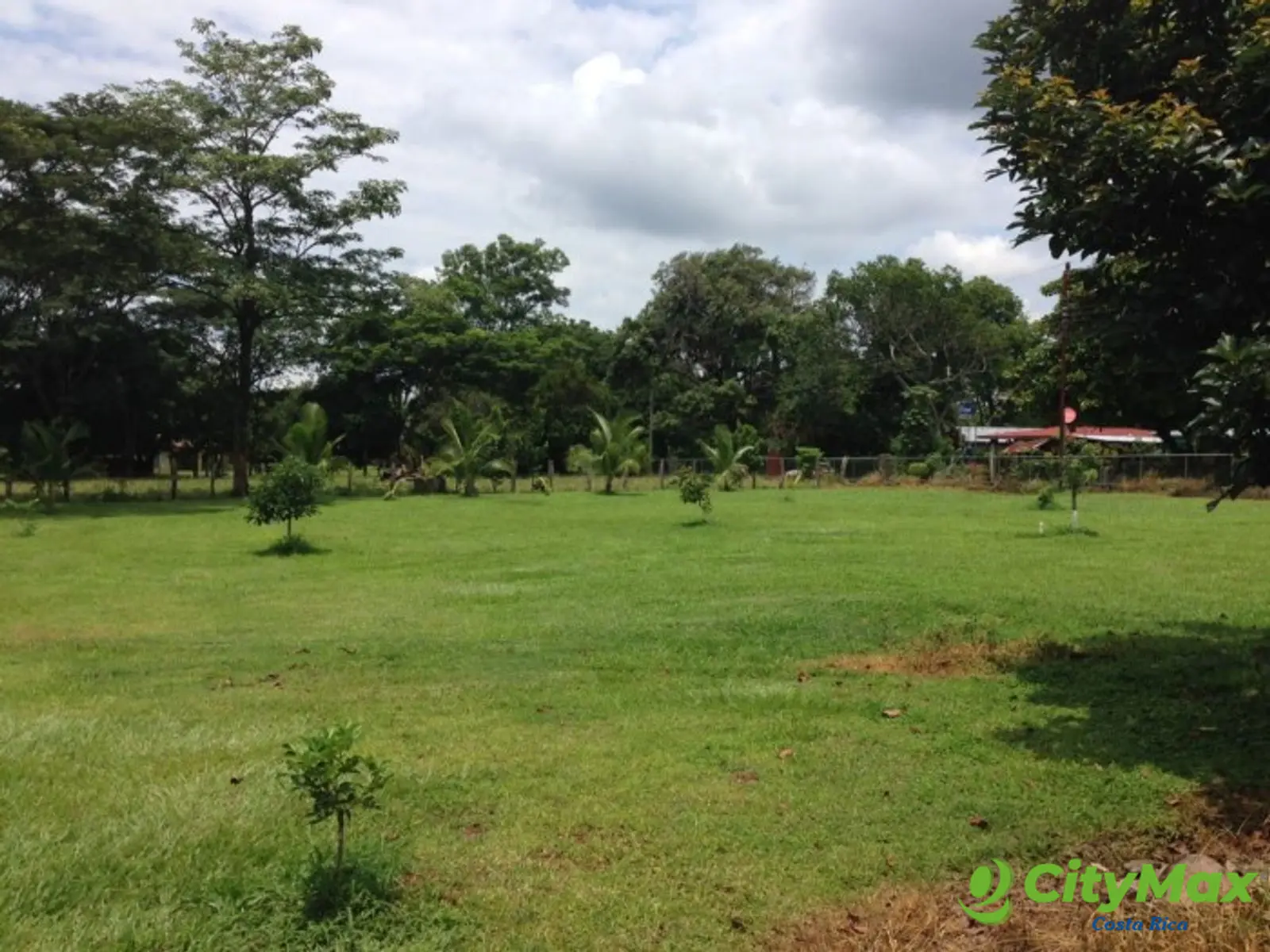Finca en venta San Jerónimo de Esparza Puntarenas 15ha - foto 12