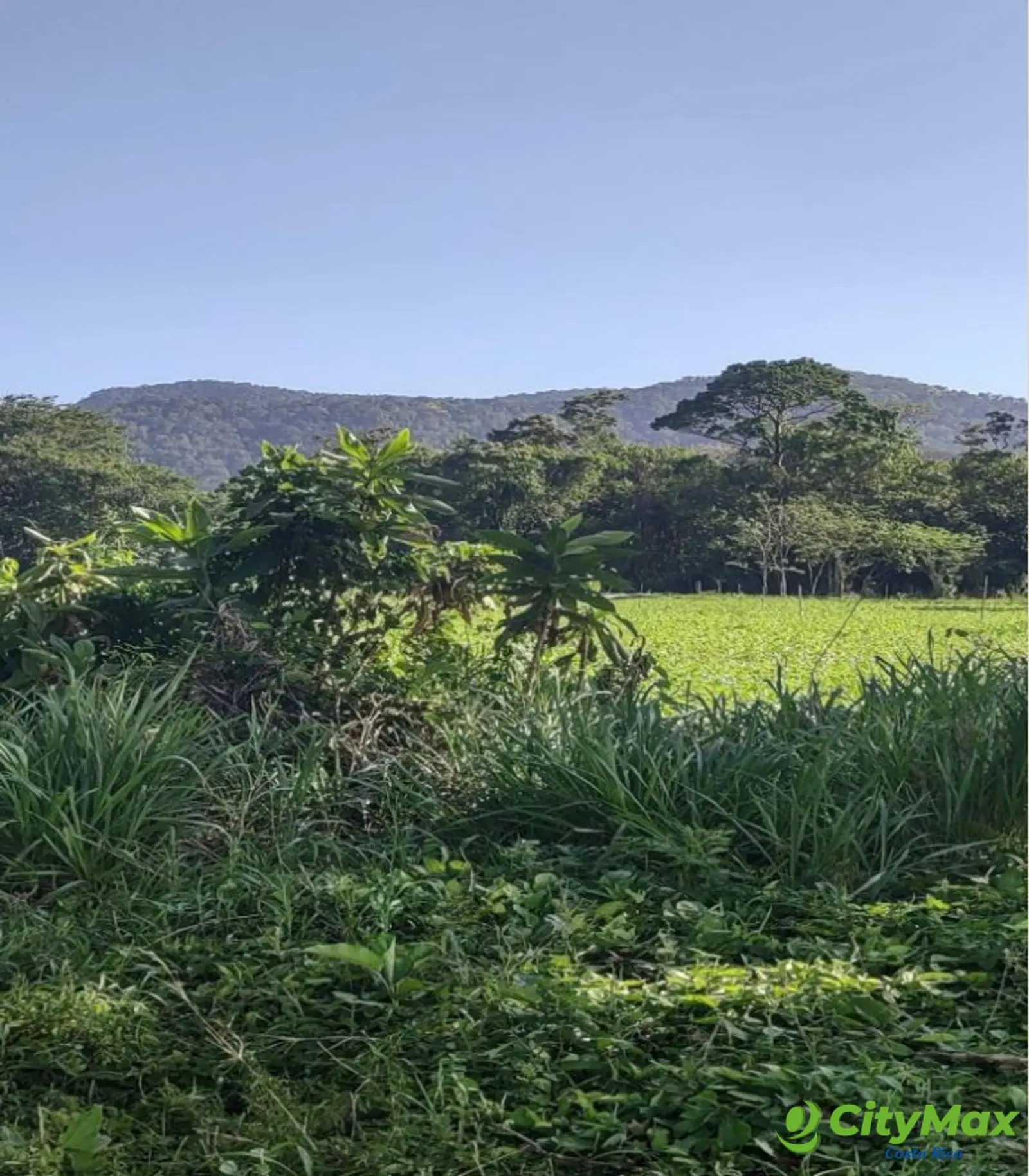 Lotes en venta en Proyecto en Llanos del Miravalles - foto 15