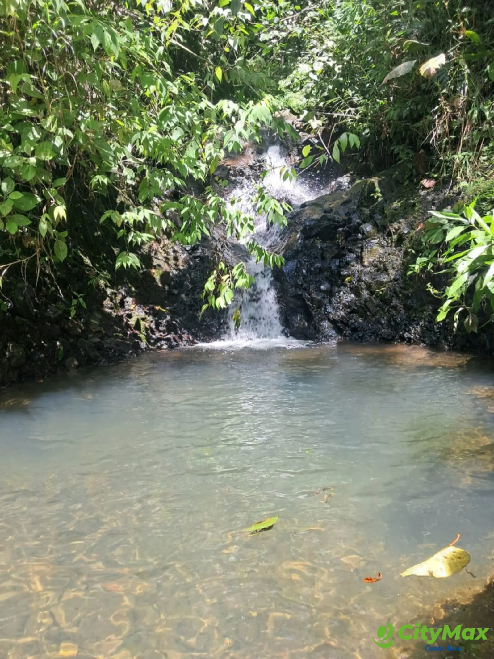 Finca en venta de 2,87 Hectareas en Tucurrique, Cartago - foto 23