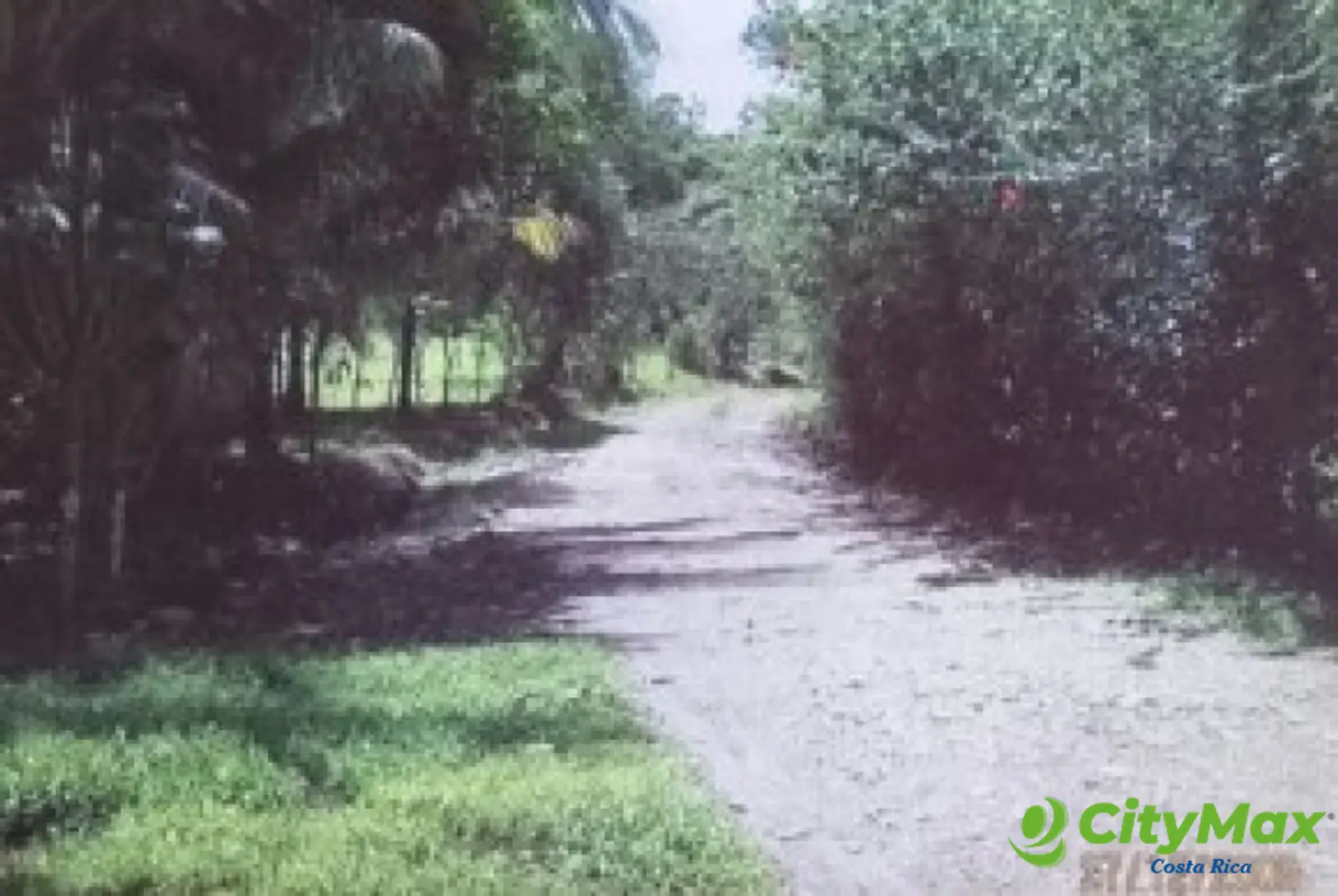 Se vende finca en Sarapiqui - foto 8