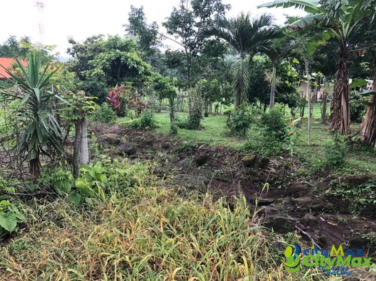 Se vende ampio, plano y hermoso terreno en Atenas  - foto 9