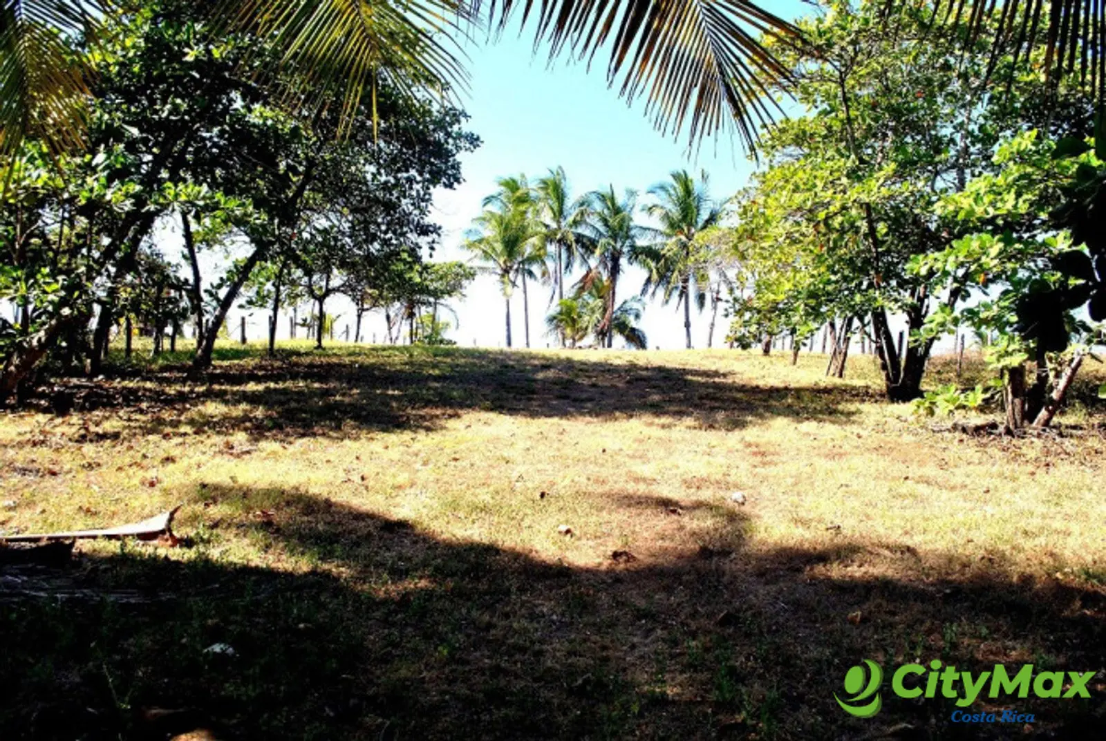 Terreno Frente al Mar en Playa Bajamar, Puntarenas. - foto 5