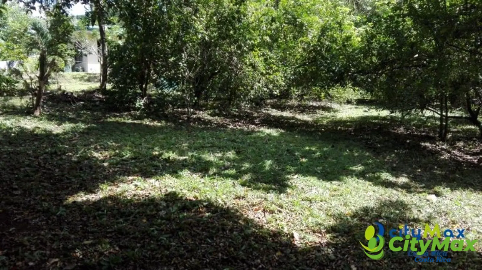 Venta de finca Guanacaste Belén Nicoya C.R. 3 hectáreas - foto 15