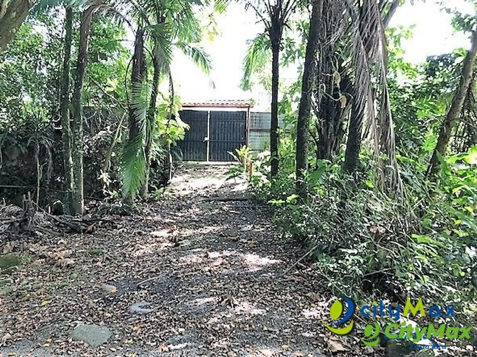 Finca Exclusiva en Venta Toro Amarillo de Guápiles - foto 7
