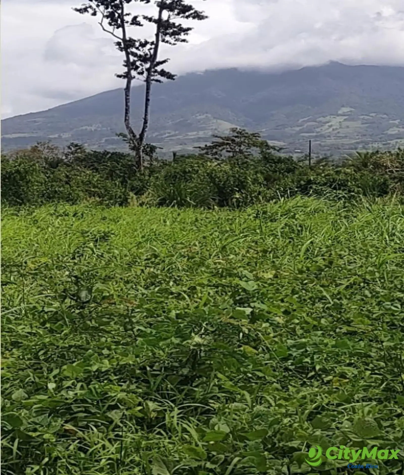 Lotes en venta en Proyecto en Llanos del Miravalles - foto 13