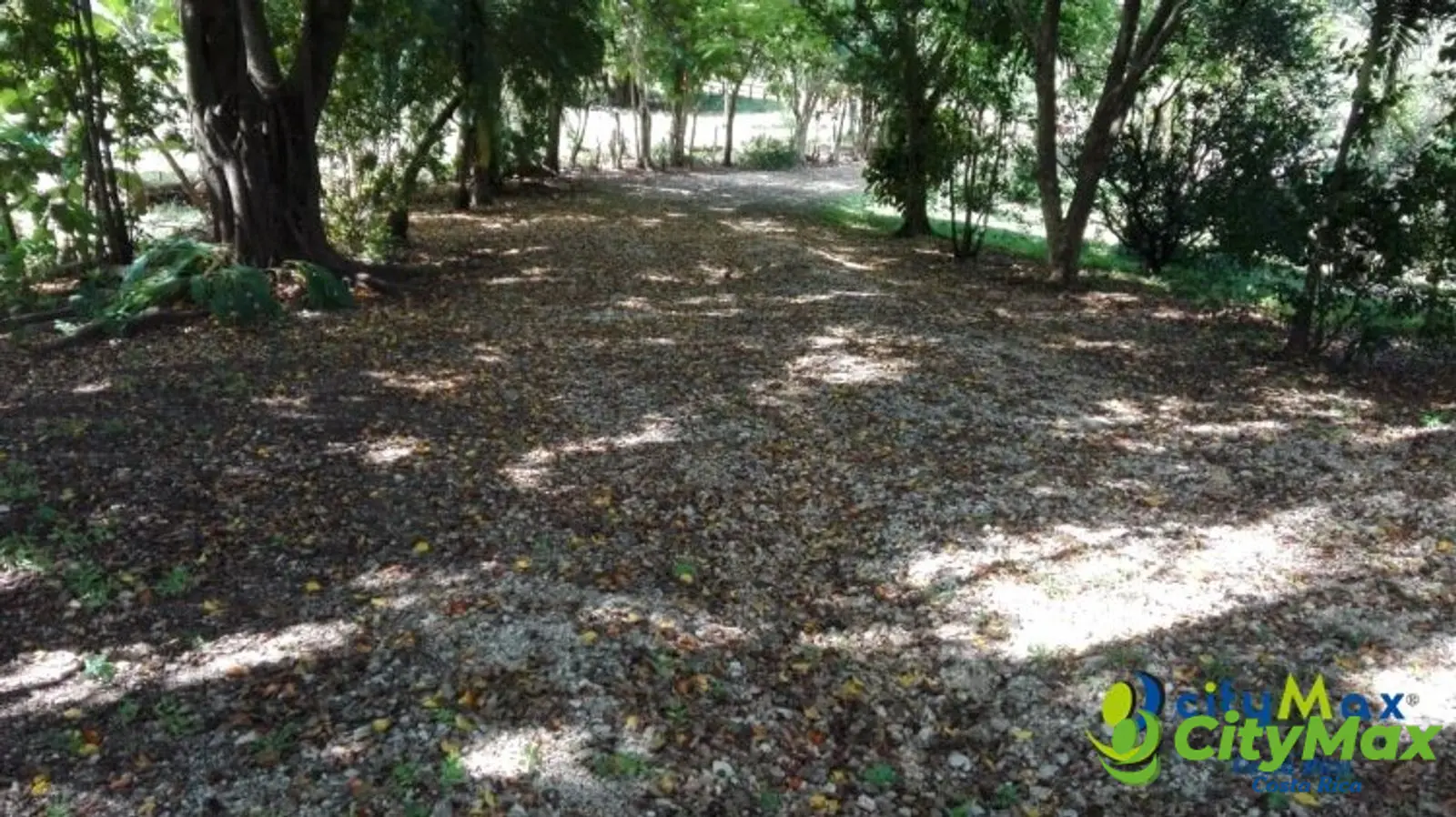 Venta de finca Guanacaste Belén Nicoya C.R. 3 hectáreas - foto 8