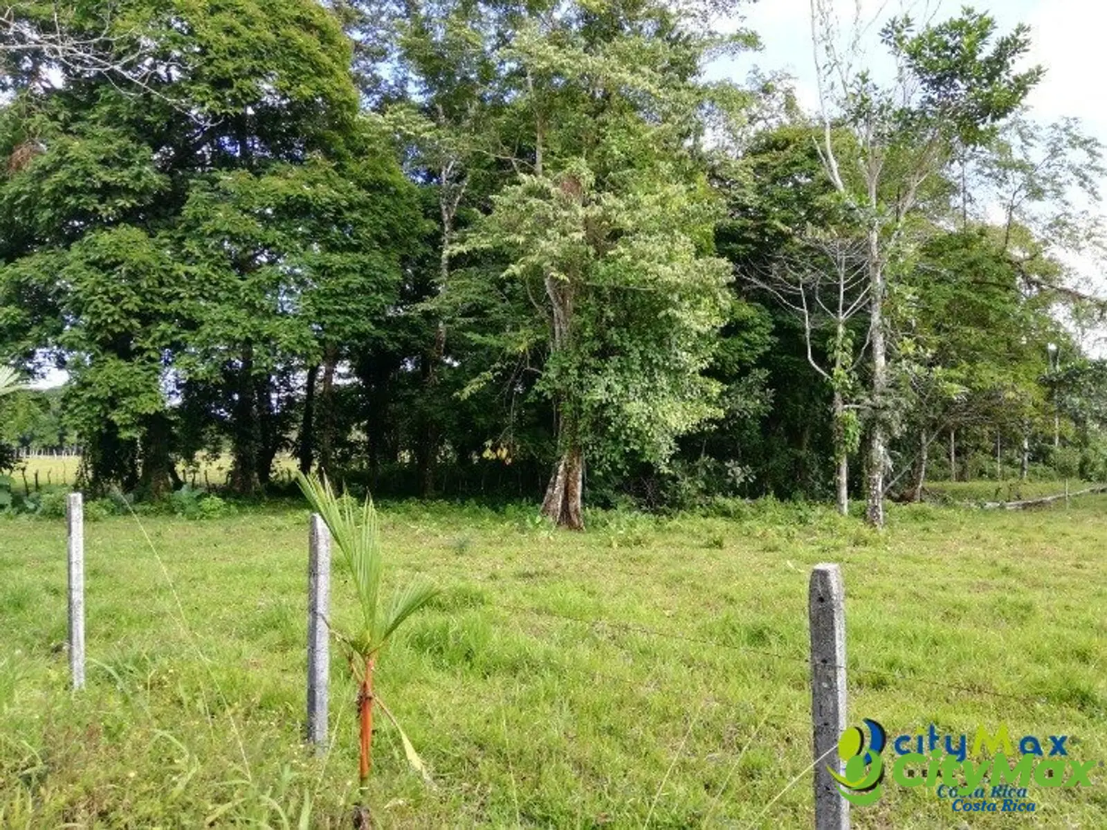 Amplio Terreno en Jiménez, Guácimo Ideal Inversión - foto 3