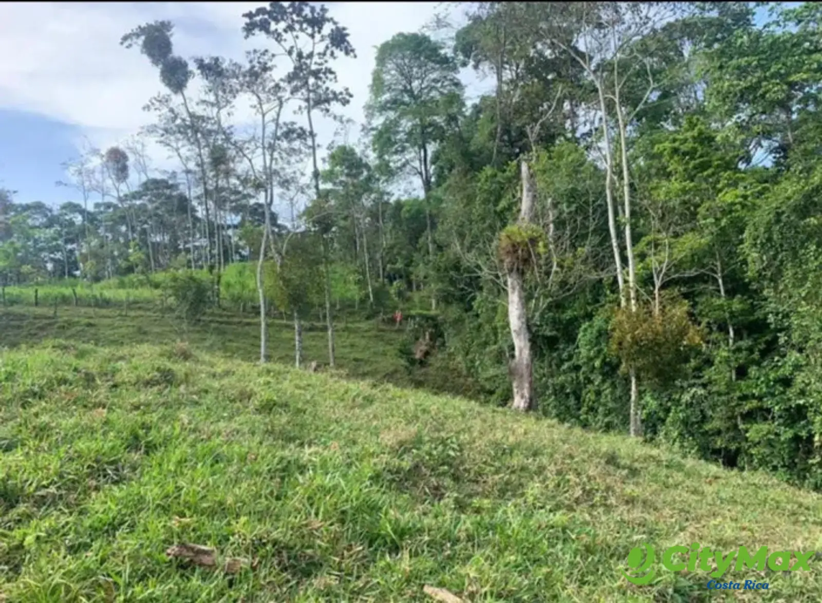 En venta finca ganadera Ciudad Quesada, San Carlos - foto 5
