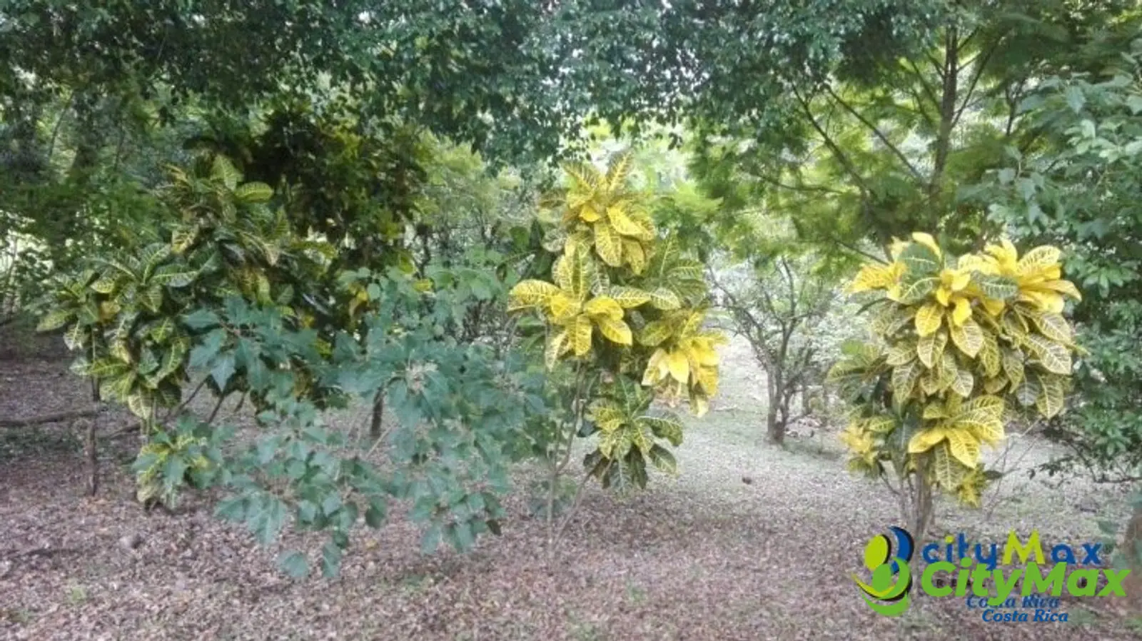 Venta de finca Guanacaste Belén Nicoya C.R. 3 hectáreas - foto 17