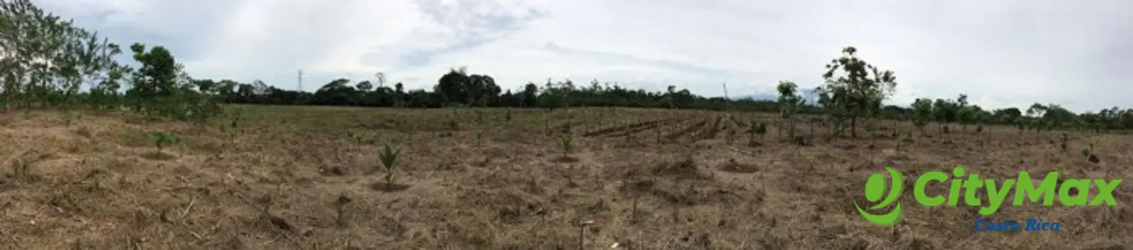 Gran Propiedad en Pocora Limón Ideal para Inversión - foto 6