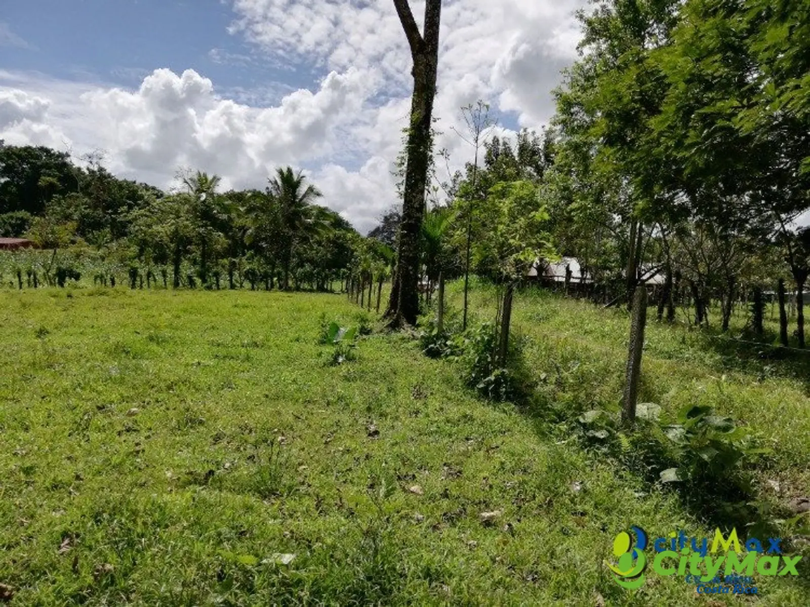 Amplio Terreno en Jiménez, Guácimo Ideal Inversión - foto 2