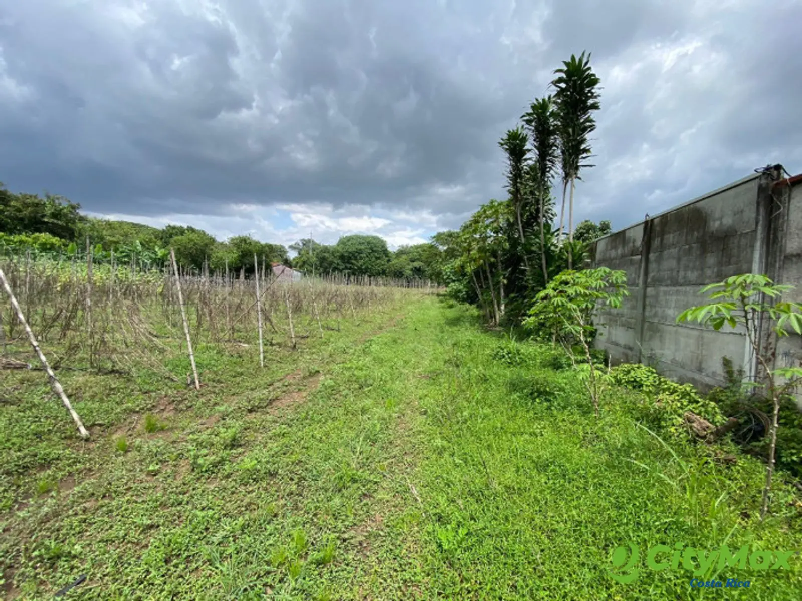Venta de Lote en La Guácima Arriba Alajuela Costa Rica - foto 7