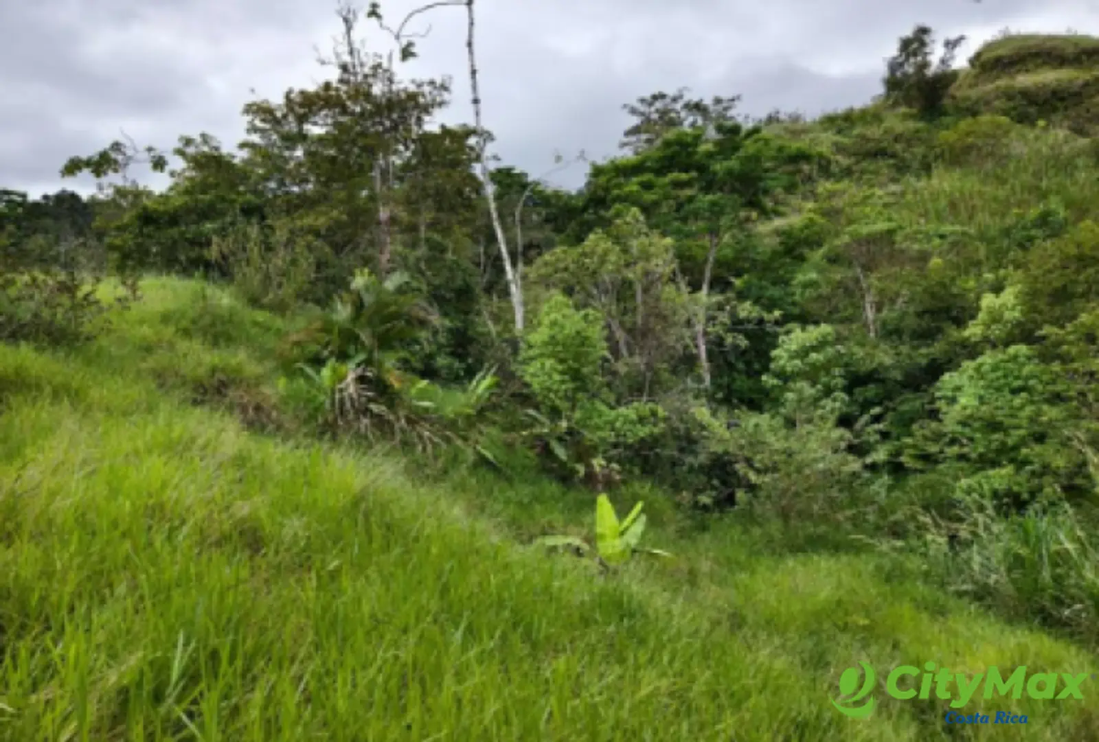 Finca en venta de 2,87 Hectareas en Tucurrique, Cartago - foto 8