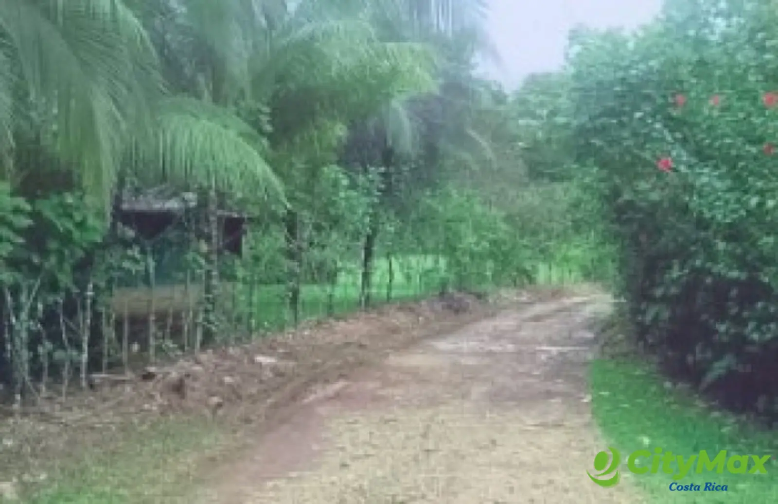 Se vende finca en Sarapiqui - foto 10