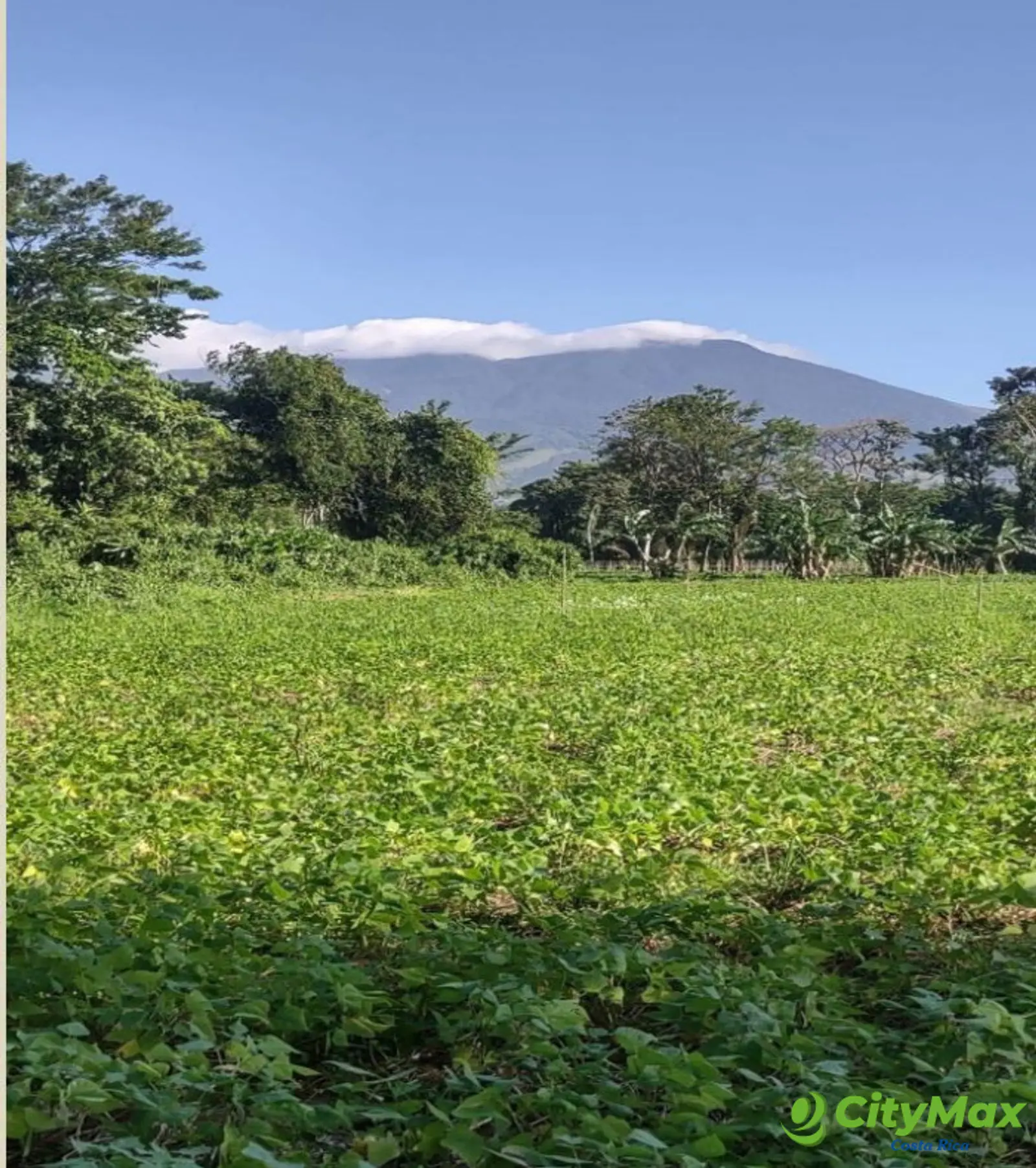 Lotes en venta en Proyecto en Llanos del Miravalles - foto 17