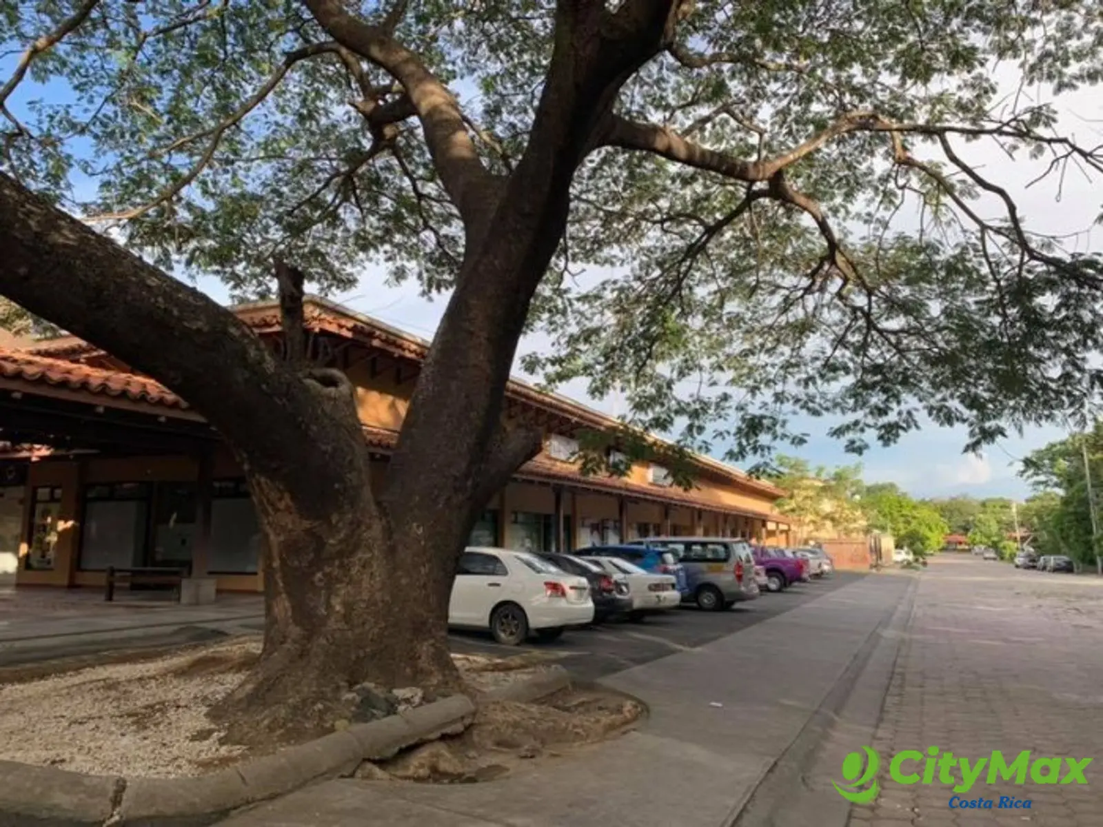 Local-Oficina en Renta en Liberia Guanacaste Costa Rica - foto 3