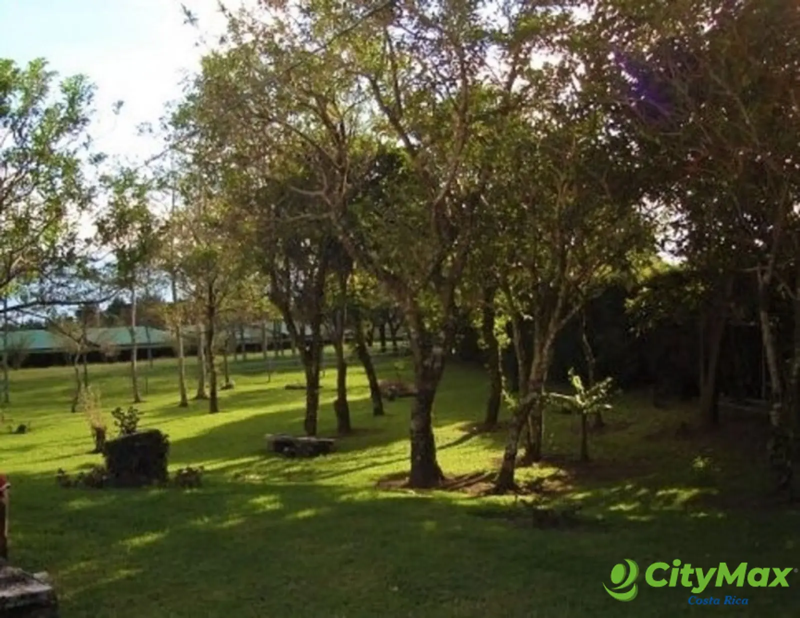 Se vende hermosa Finca en Angeles, San Rafael, Heredia - foto 14