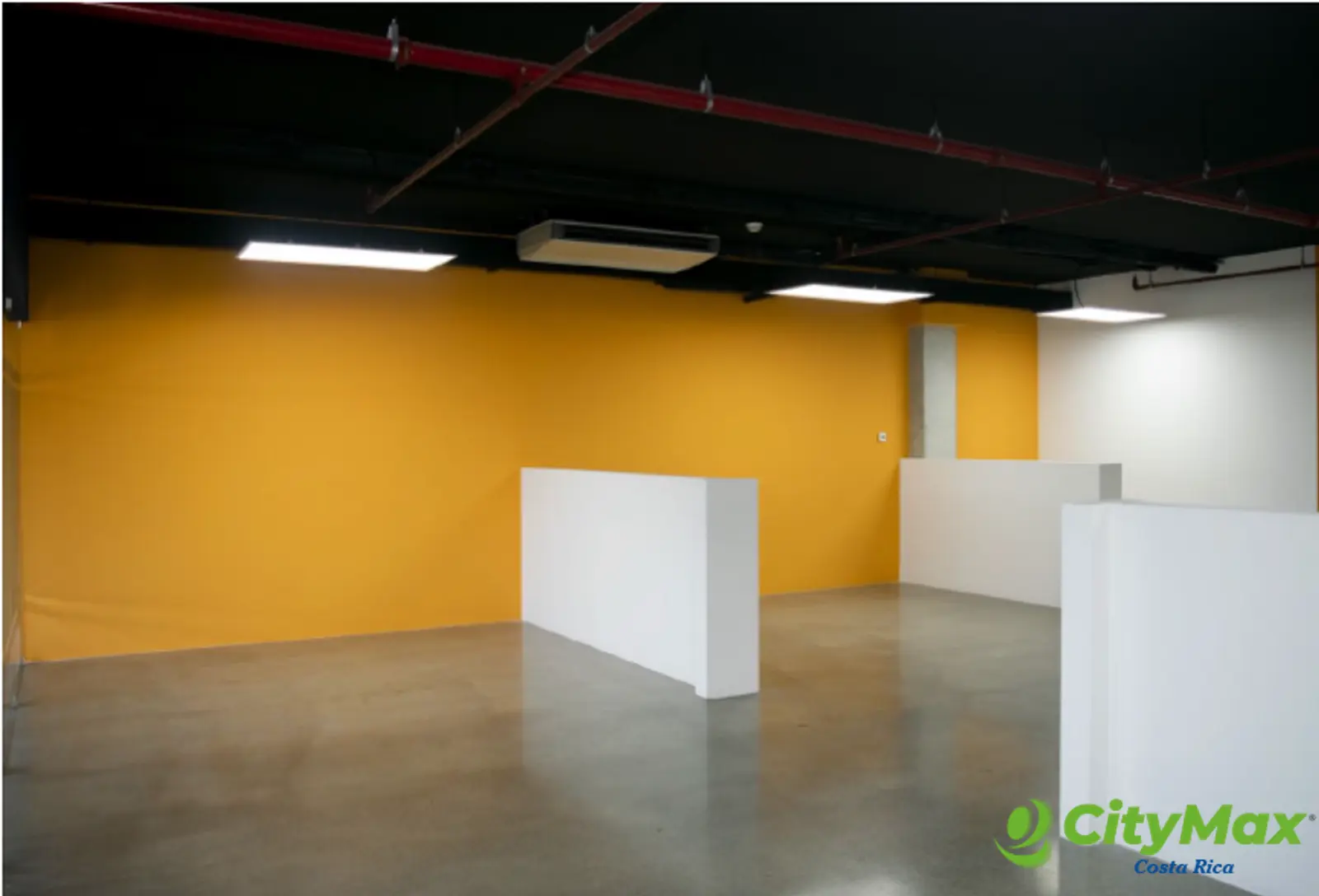 Oficina Comercial en Renta o Venta en Pinares San Jose - foto 3