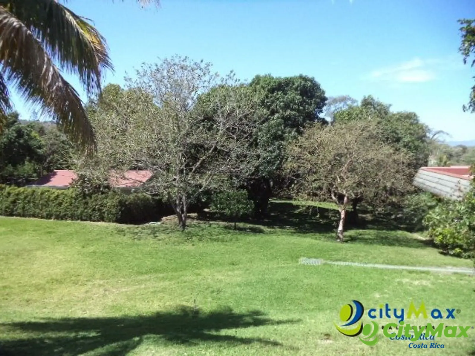 Terreno en Venta comercial u residencial  Brasil Mora - foto 4