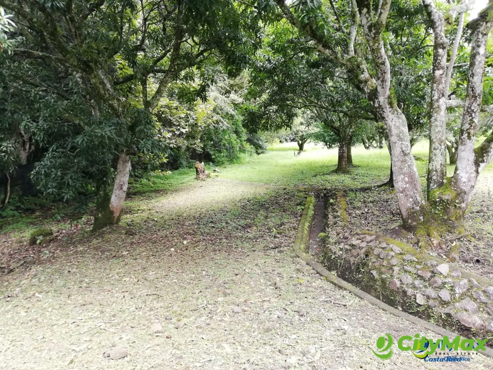 Finca con Casa en Venta en Río Oro, Santa Ana - foto 7