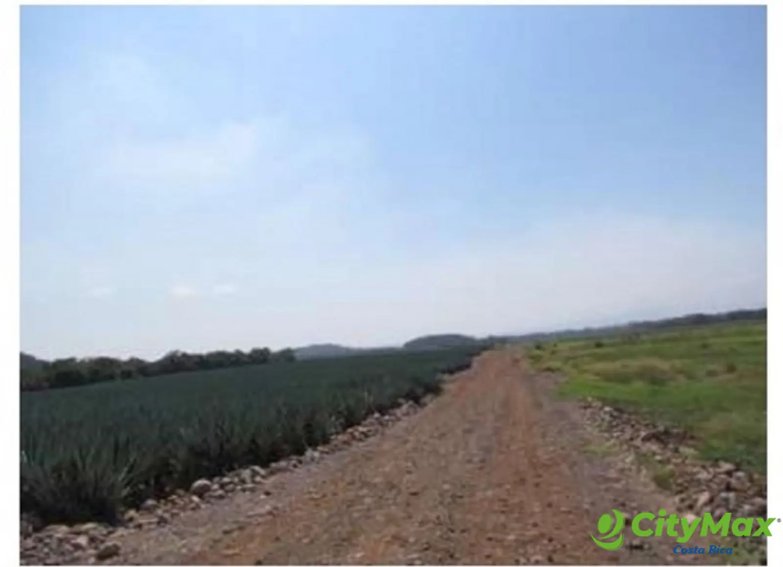 Amplia Finca Agrícola en Venta en Puntarenas - foto 6