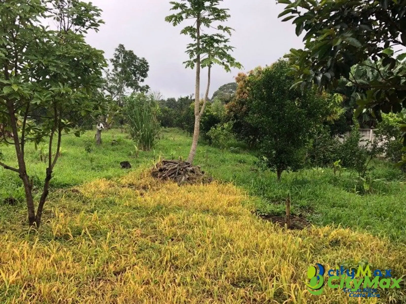 Se vende ampio, plano y hermoso terreno en Atenas  - foto 5