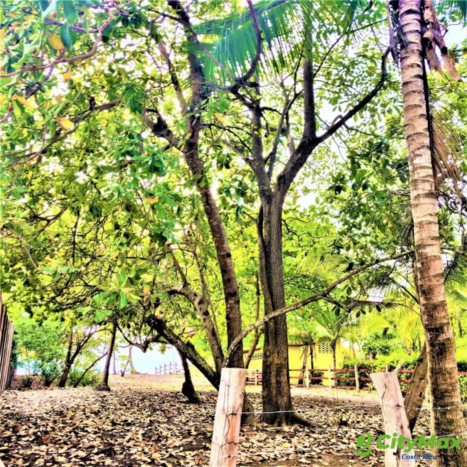 Lote Exclusivo en venta en Playa Tivives, Puntarenas - foto 9