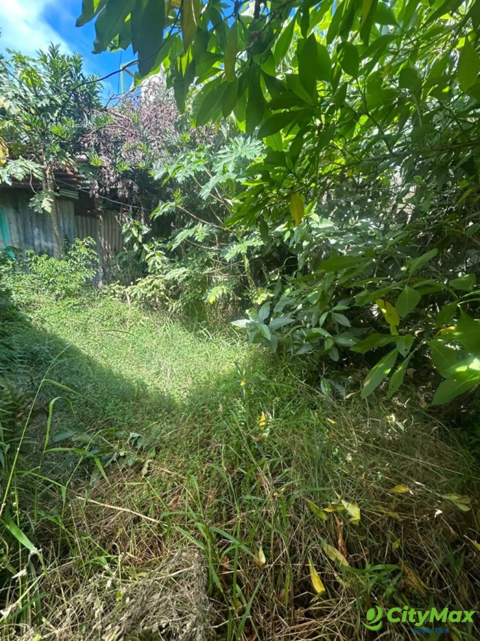 Casa en Venta con Uso suelo Mixto, en Heredía Centro! - Patio