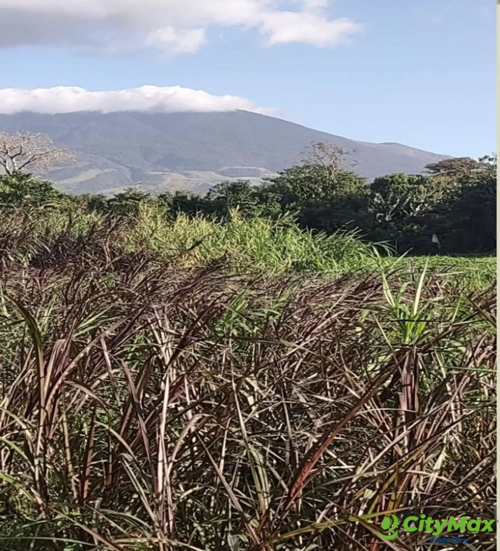 Lotes en venta en Proyecto en Llanos del Miravalles - foto 18