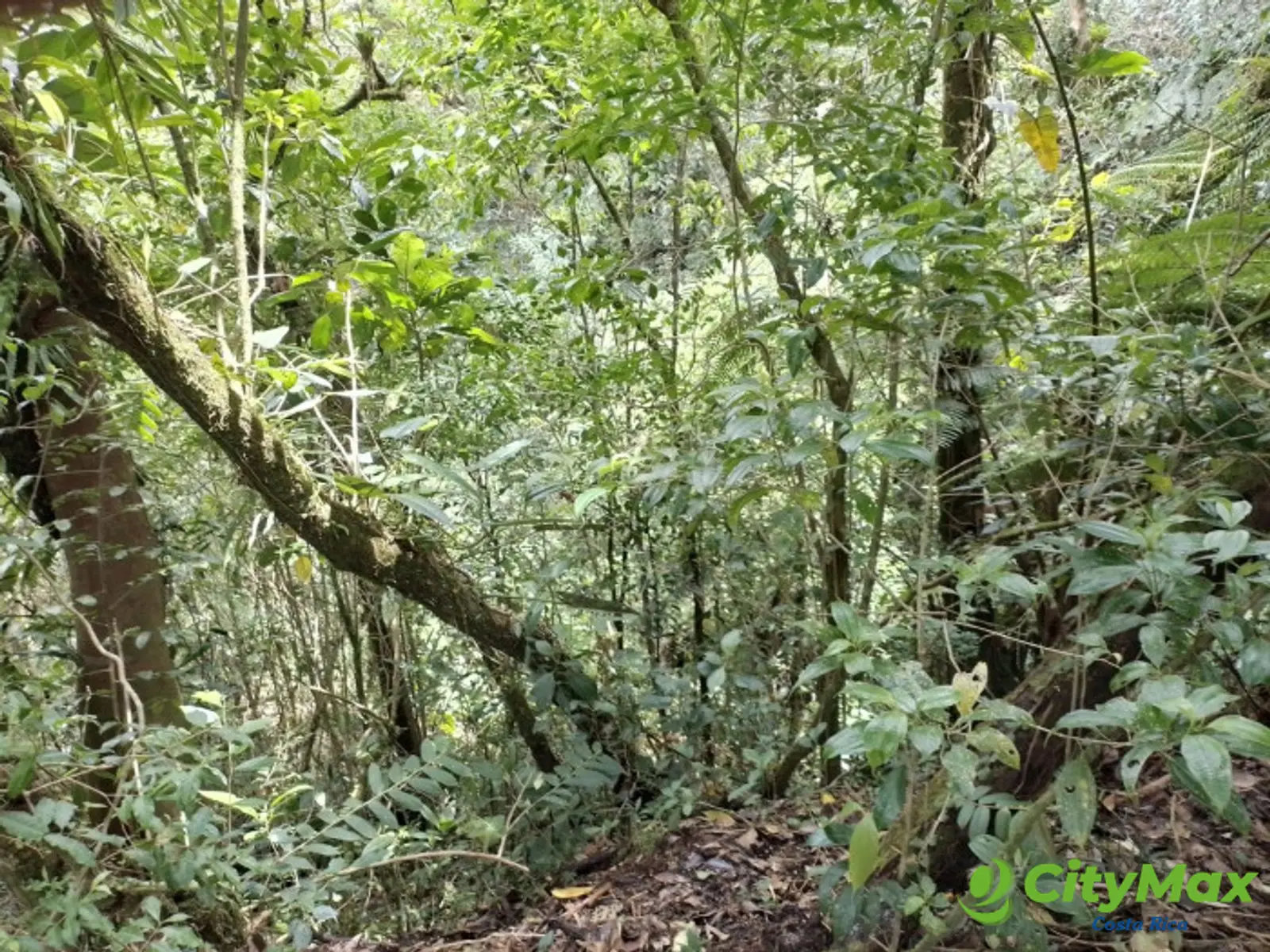 Se vende finca en Varablanca, Heredia - foto 11