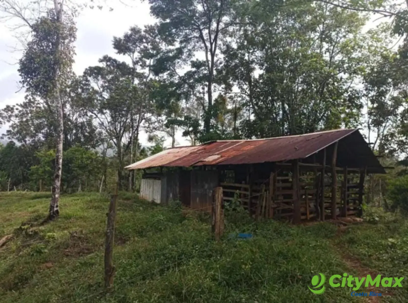 En venta finca ganadera Ciudad Quesada, San Carlos - foto 10
