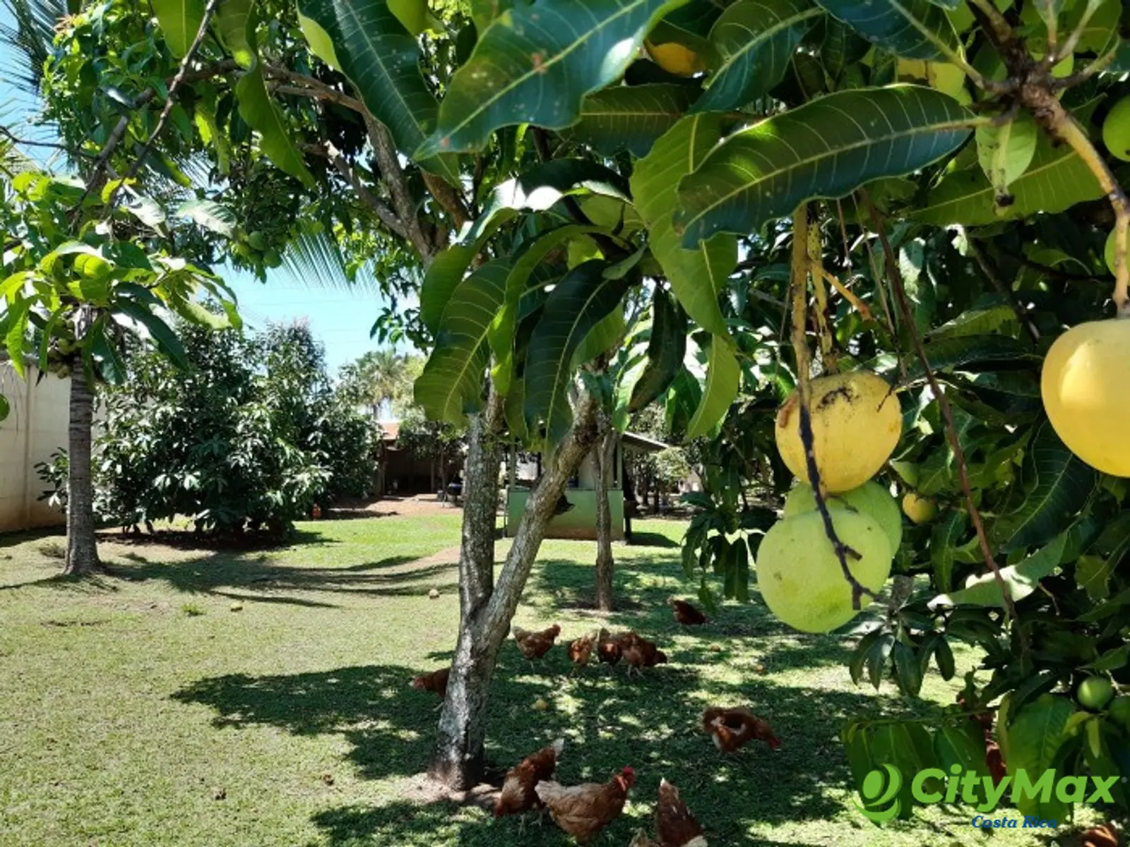 Exclusiva Quinta de Lujo Venta en La Garita, Alajuela. - foto 20
