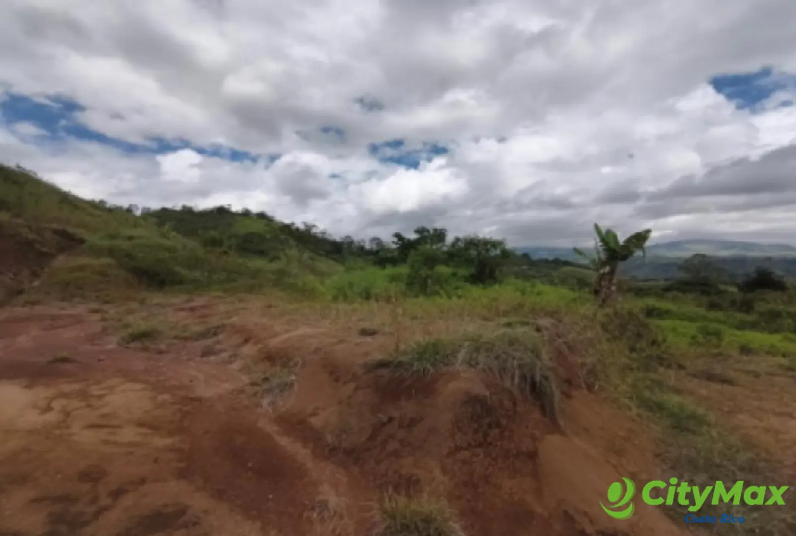 Finca en venta de 2,87 Hectareas en Tucurrique, Cartago - foto 10