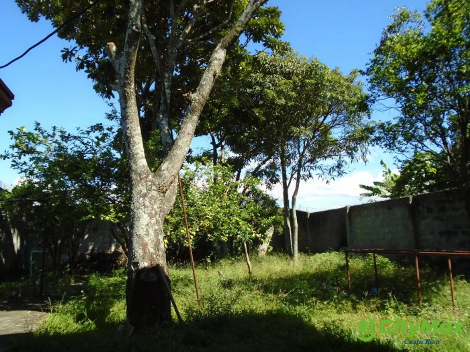 Casa en Venta en Alajuela Centro con Amplio Jardín - foto 23