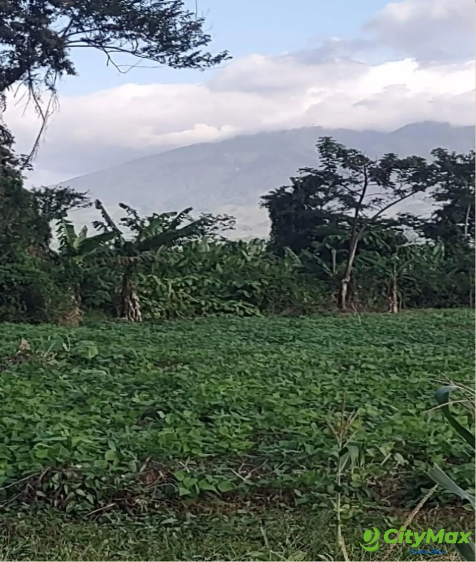 Lotes en venta en Proyecto en Llanos del Miravalles - foto 21
