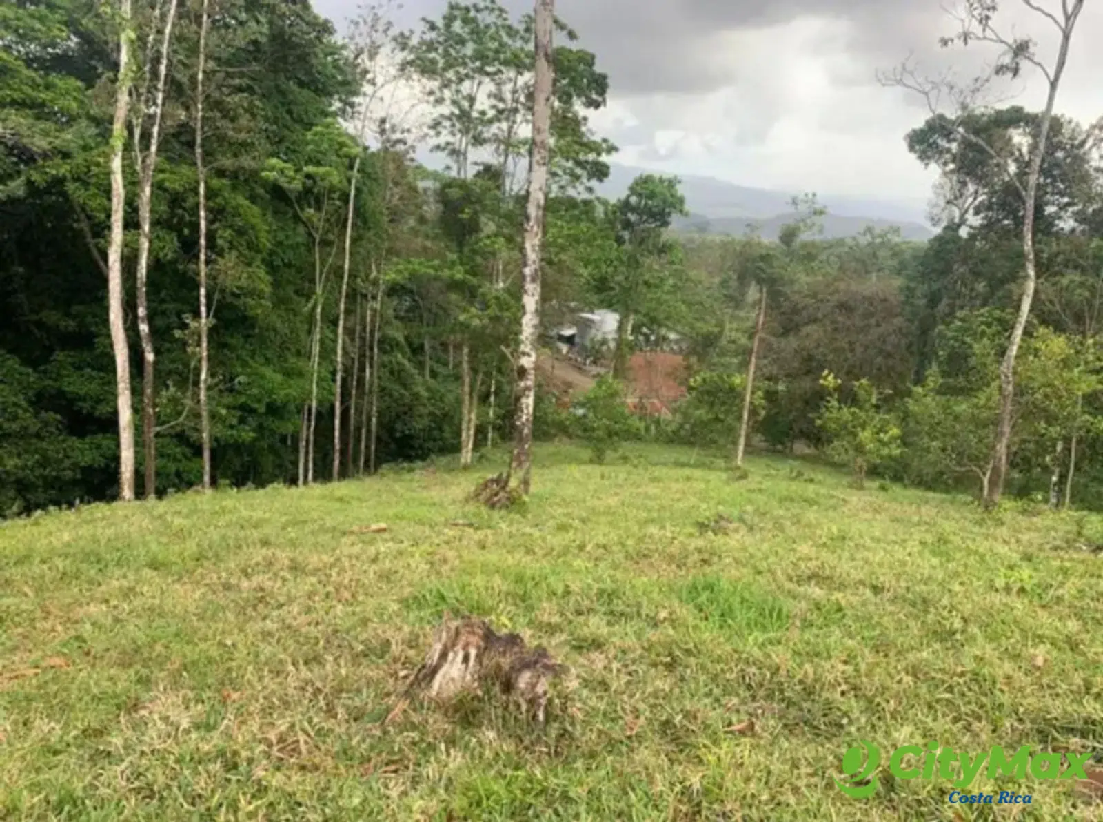 En venta finca ganadera Ciudad Quesada, San Carlos - foto 7