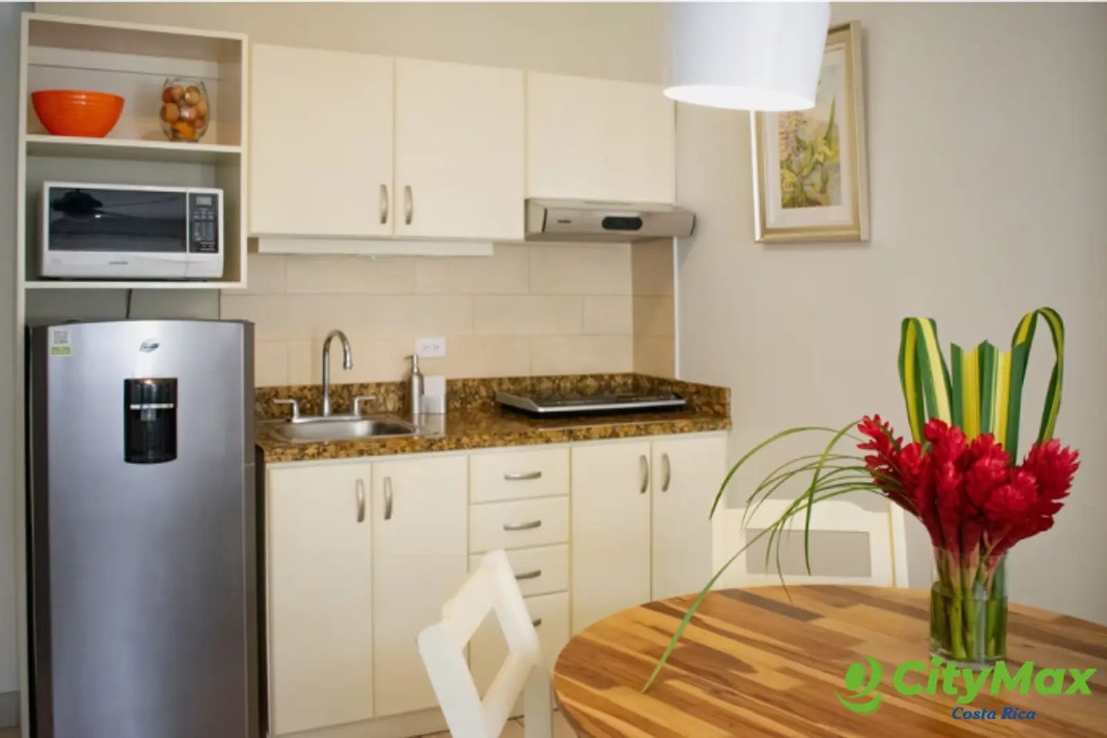 RENTA HERMOSO APARTAMENTO EN SABANA NORTE SAN JOSÉ - foto 3