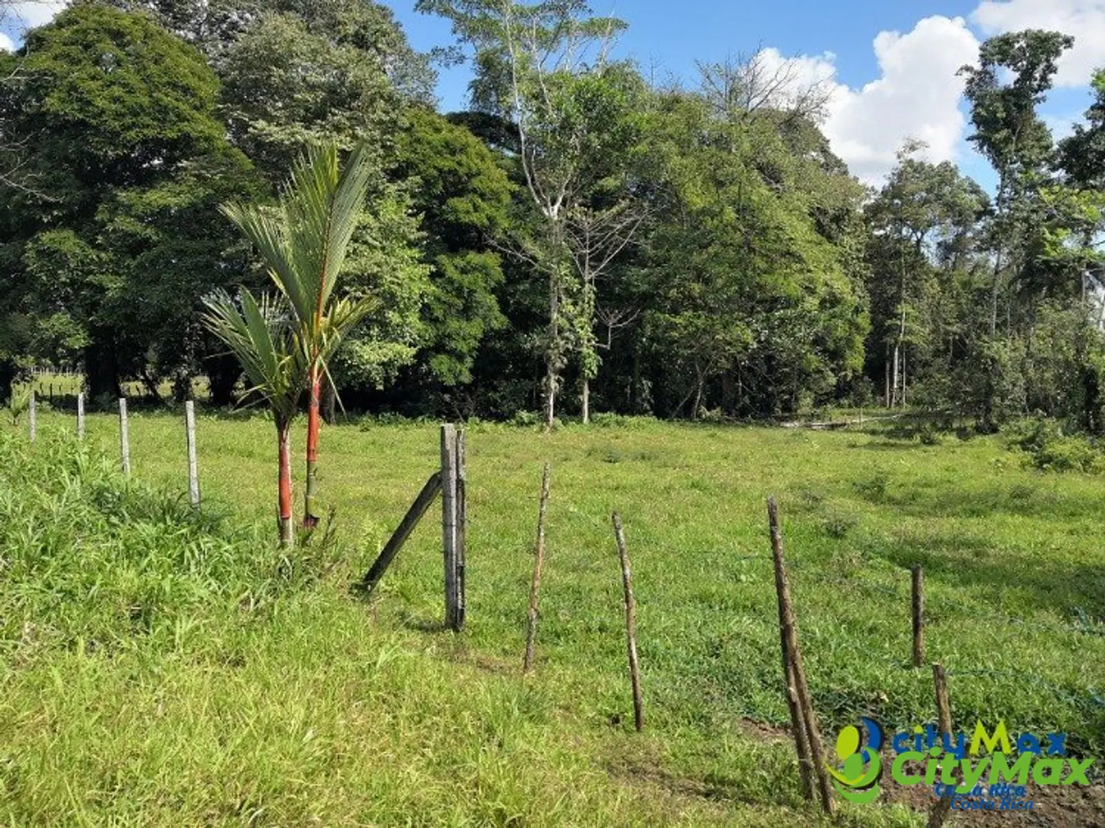 Amplio Terreno en Jiménez, Guácimo Ideal Inversión - foto 4
