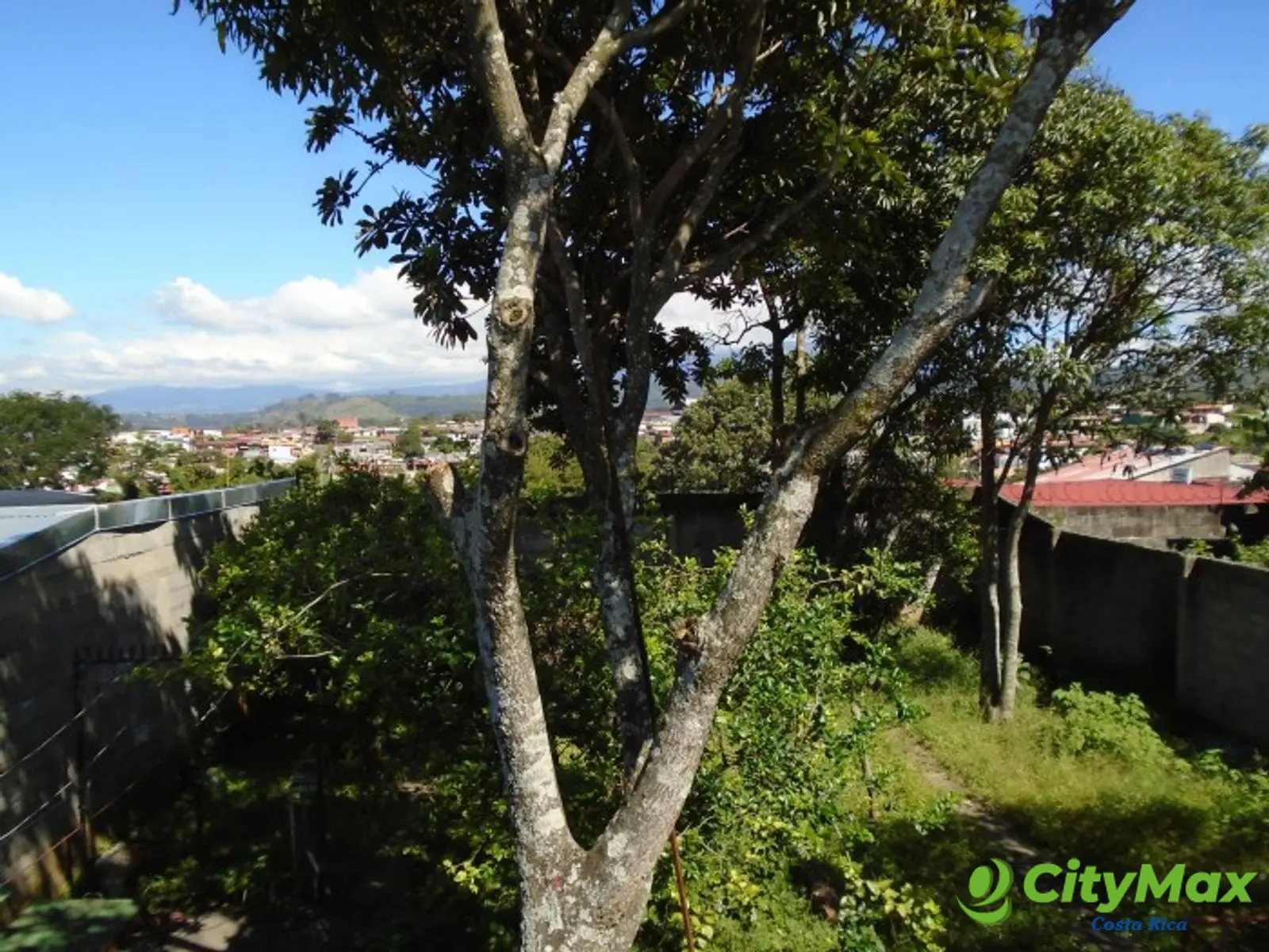 Casa en Venta en Alajuela Centro con Amplio Jardín - foto 13