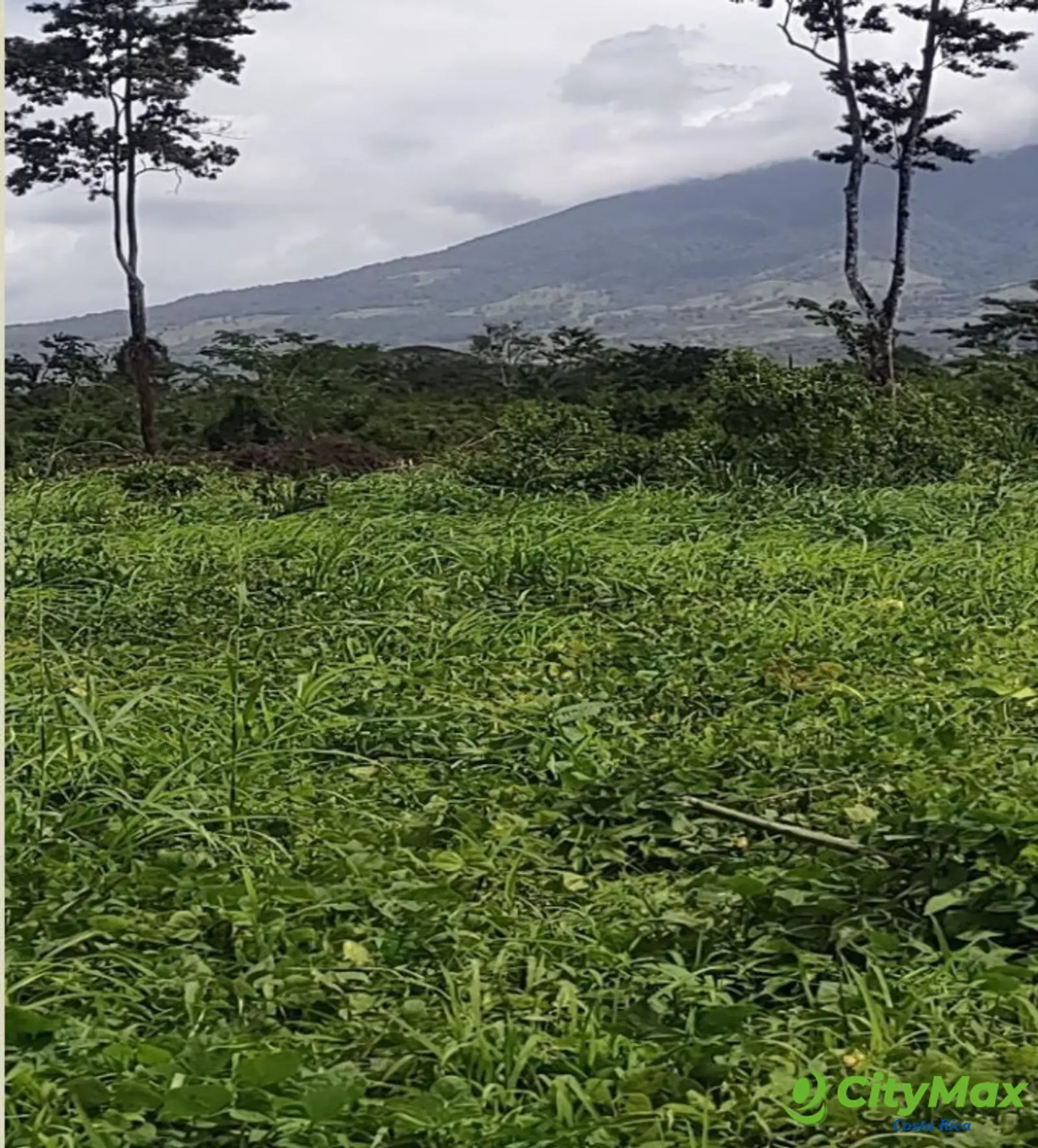 Lotes en venta en Proyecto en Llanos del Miravalles - foto 8