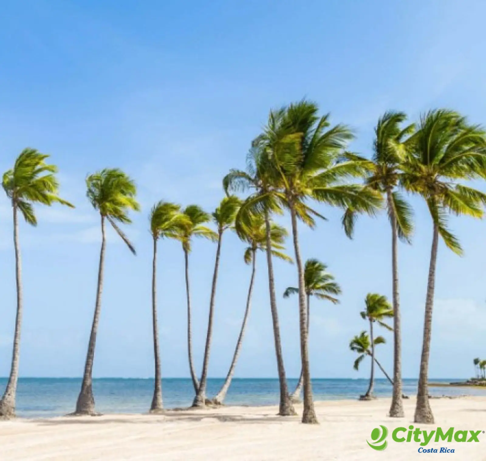 Apartamentos Amueblados en Venta en Punta Cana R.D. - foto 11